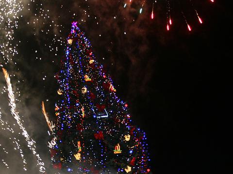 The Christmas tree of Sofia shines