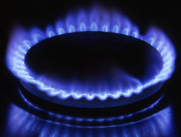 Bulgaria ready to purchase 2,5 billion cubic m. natural gas from Turkmenistan